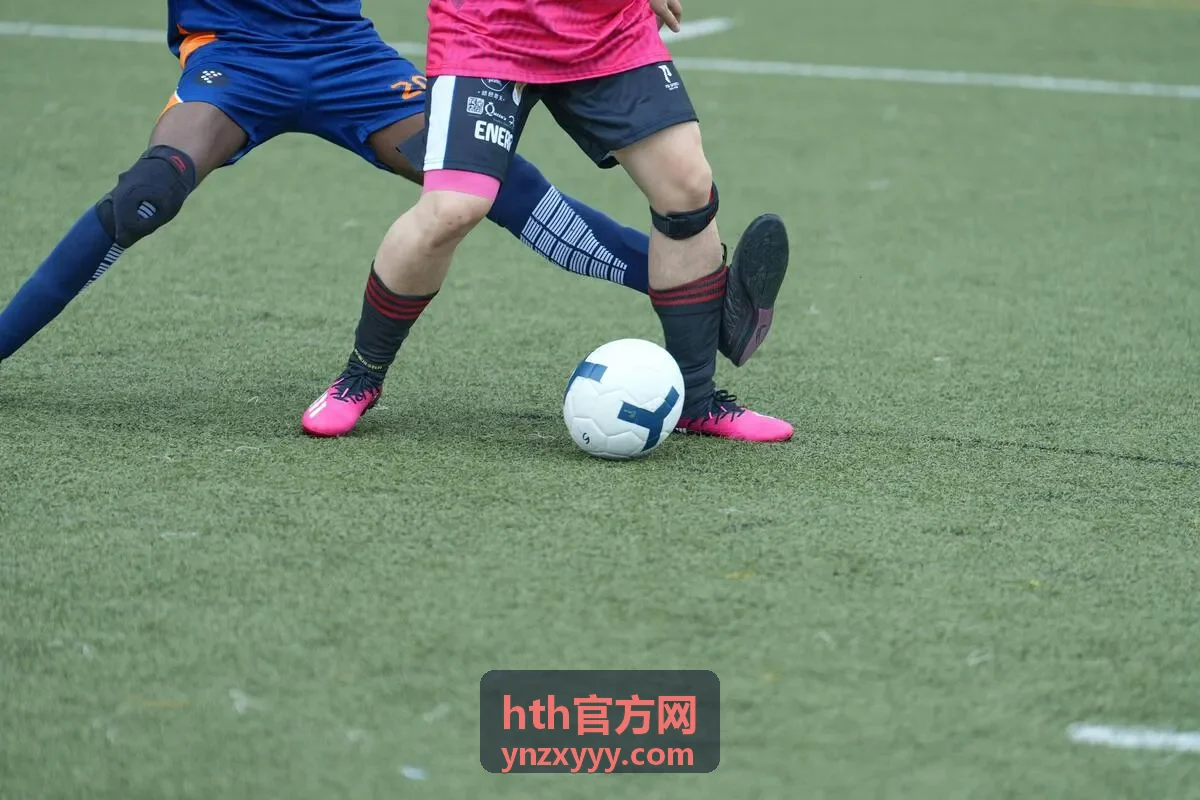 hth官方网最新动态封面