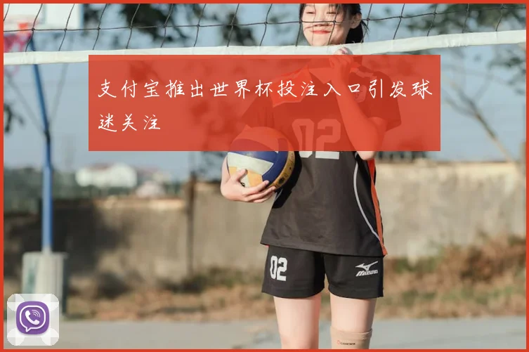 支付宝推出世界杯投注入口引发球迷关注