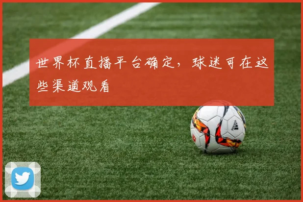世界杯直播平台确定，球迷可在这些渠道观看