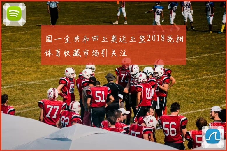 国一金典和田玉奥运玉玺2018亮相体育收藏市场引关注